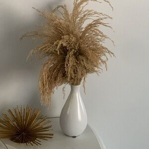 Vase home pampas fry arrangement neutral bohemian traditional coastal home decor